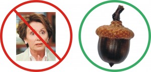 pelosi-acorn