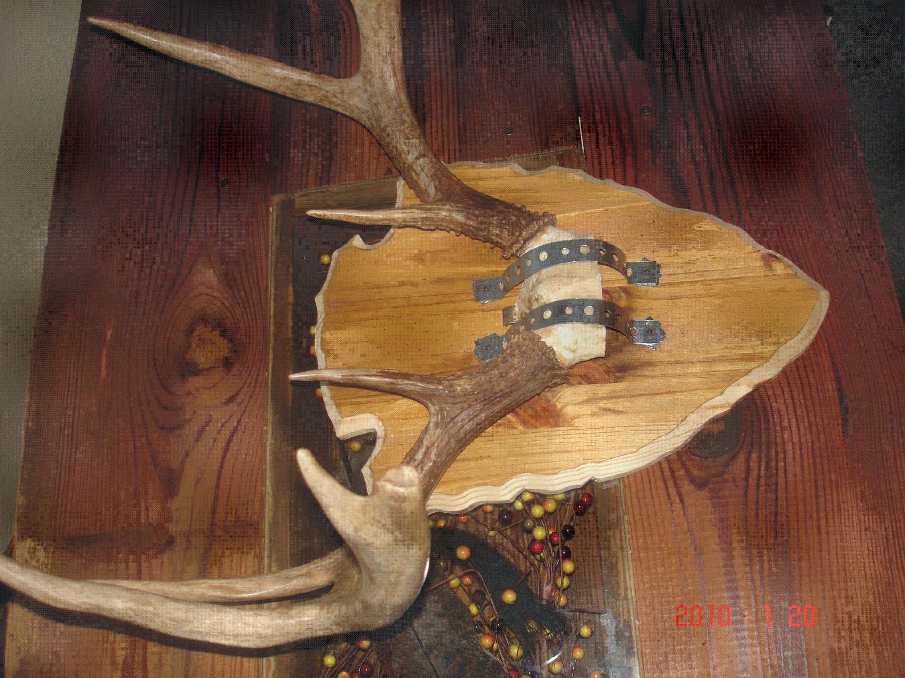 antler-plaque-do-it-yourself-hunter-by-design