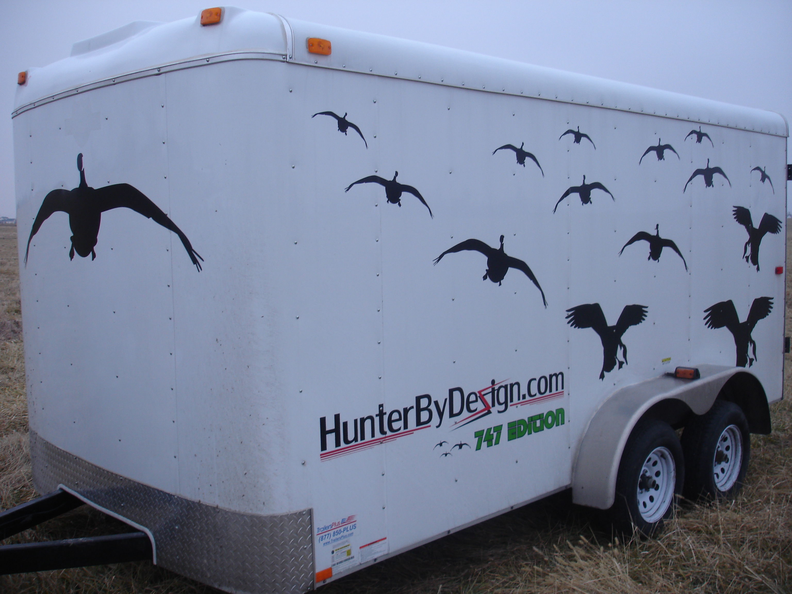 Trailer Decals Sybesma Graphics