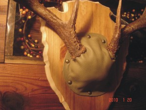 How to Create an Antler Mount - Van Dyke's Taxidermy Supply - a