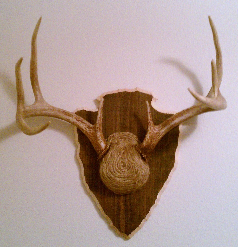 Antler Plaque with a Twist | Hunter by Design